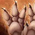 roughpaw